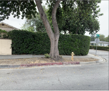 A before picture of worn out red paint on a street curb